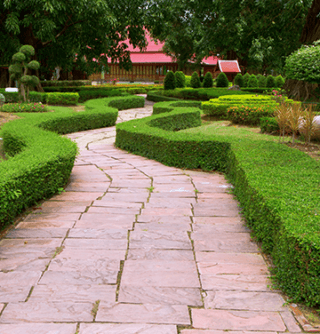 Trimmed bushes and plants using our Landscaping Supplies