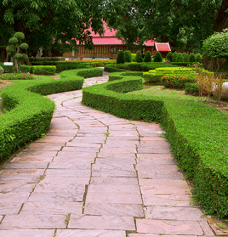 Trimmed bushes and plants using our Landscaping Supplies