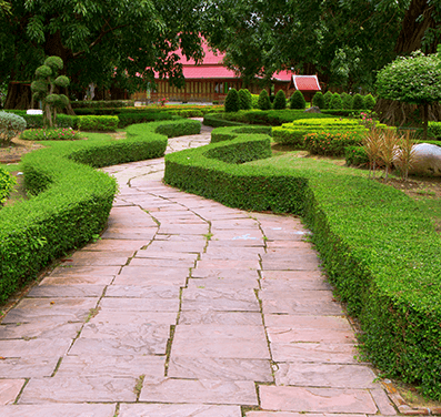 Trimmed bushes and plants using our Landscaping Supplies