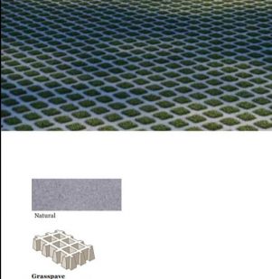 Grass Pavers