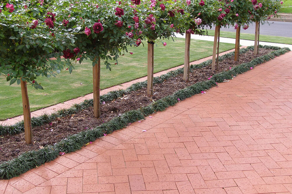 Clay Pavers