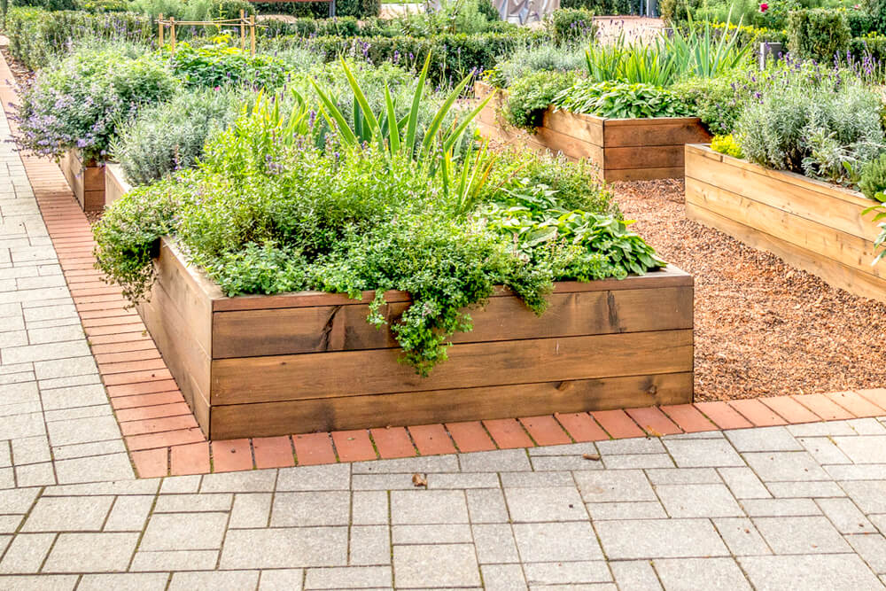 Raised Garden Beds