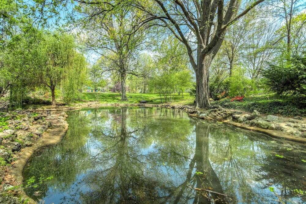 Picturesque Ponds 4 Different Styles Of Backyard Ponds