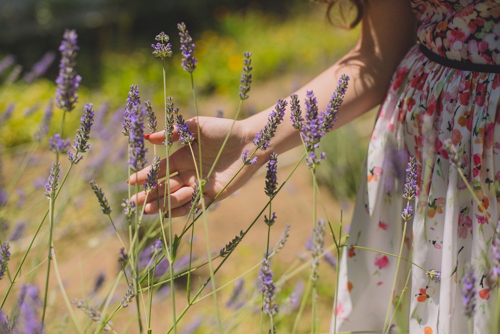 Landscaping With Fragrant Plants Adding Aromatherapy To Your Yard