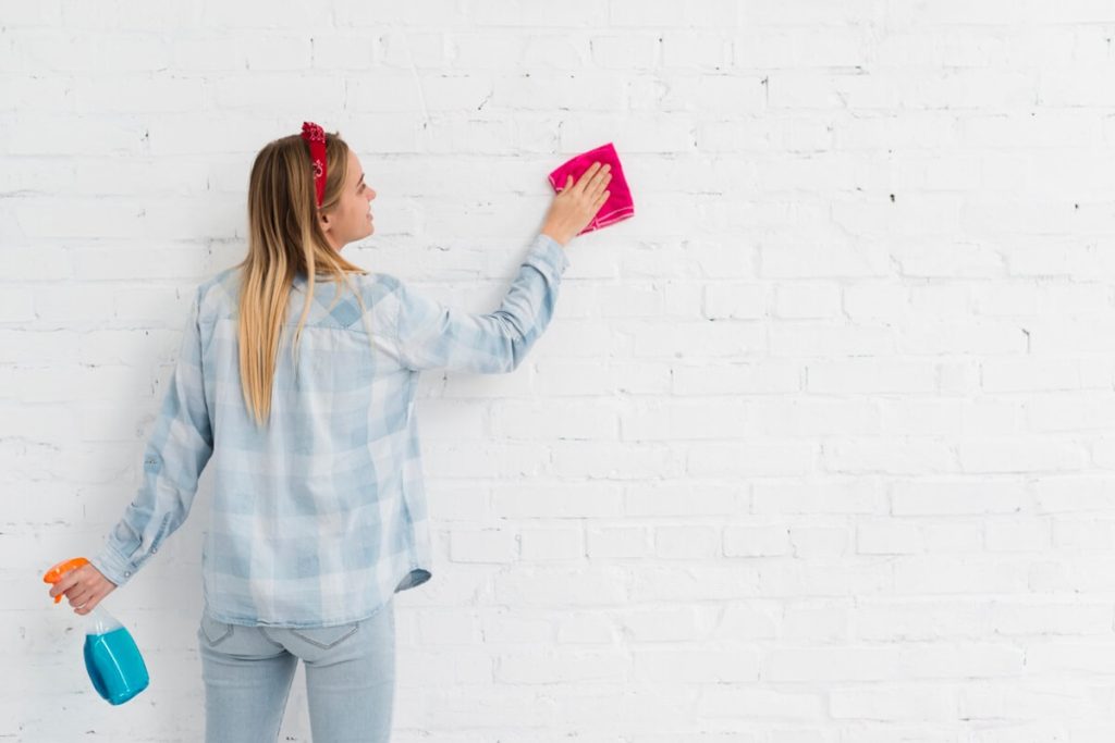 Useful Tips For Cleaning Your Brick Walls