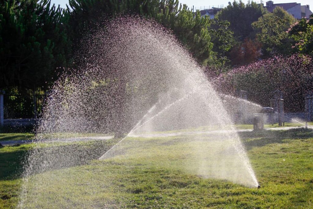 Sustainable Landscaping Habits For Eco Friendly Homeowners
